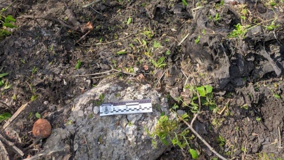 Чоловік знайшов артилерійський снаряд і кинув його в багаття на городі