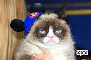 Померла Grumpy Cat