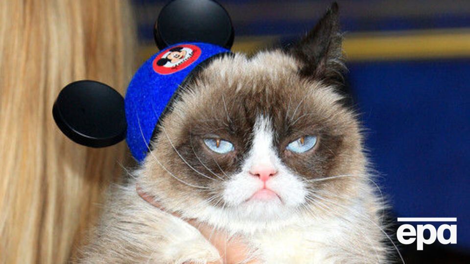 Умерла Grumpy Cat