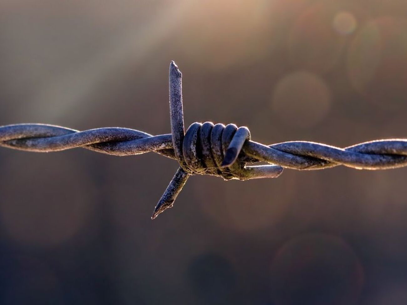 Убийство произошло в августе 2017 года