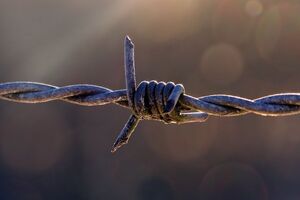 Убийство произошло в августе 2017 года