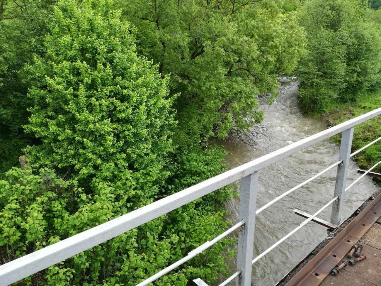 Дитина впала у воду через необережність