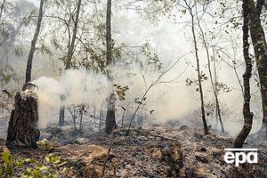 У мексиканському штаті Керетаро горить ліс