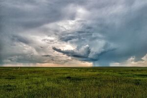 На заході України прогнозують негоду