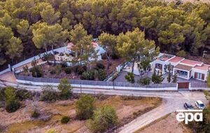 Для тайной видеосъемки политиков заговорщики сняли виллу на Ибице