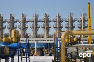 Нежнова: Россия до сих пор добывает газ в Черном море