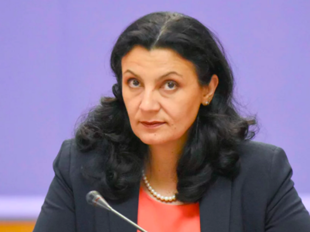 Іванна Климпуш-Цинцадзе: Ми ставимо під ризик [інтеграцію], якщо ми будемо відкладати далі ці напрацювання