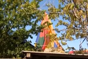 Воздушный шар приземлился в курятнике