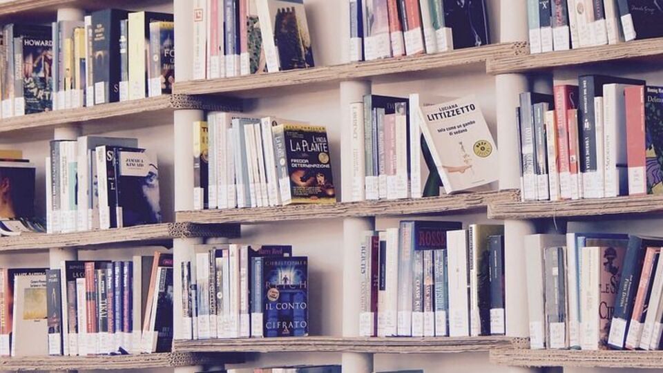 В Украину запретили ввозить еще пять книг