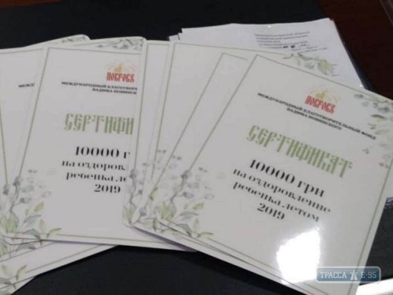 У родичів загиблих, зокрема тих, які виховують дітей, немає жодного соціального статусу, підкреслили в партії