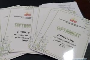 У родичів загиблих, зокрема тих, які виховують дітей, немає жодного соціального статусу, підкреслили в партії