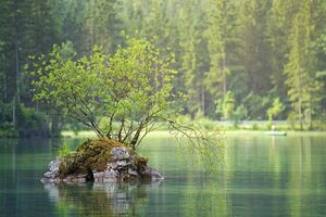 Землі водного фонду належать до земель державної власності, які не можна передавати у приватну власність, підкреслили у прокуратурі