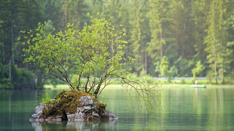 Землі водного фонду належать до земель державної власності, які не можна передавати у приватну власність, підкреслили у прокуратурі