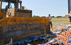 Санкционные продукты в РФ уничтожают с 2015 года