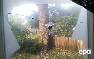 Пострадавших в результате выстрелов нет