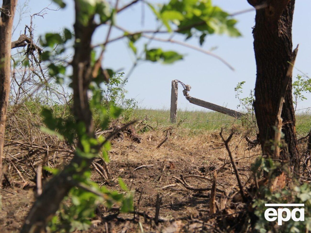 Украинские правоохранители изъяли схрон оружия на приусадебном участке