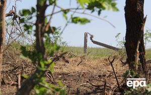 Украинские правоохранители изъяли схрон оружия на приусадебном участке