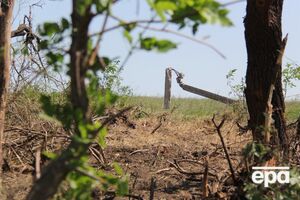 Украинские правоохранители изъяли схрон оружия на приусадебном участке
