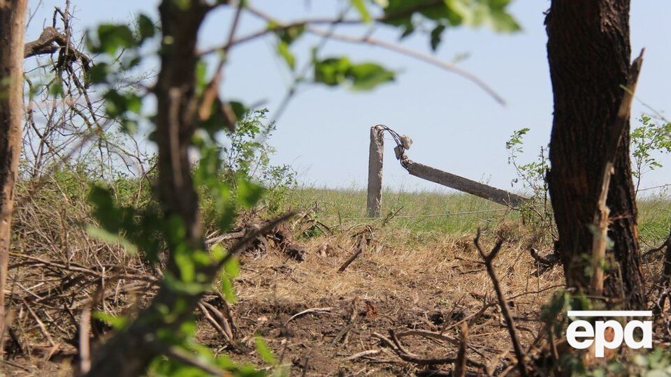 Украинские правоохранители изъяли схрон оружия на приусадебном участке