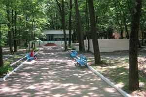 Про отруєння повідомили 9 червня
