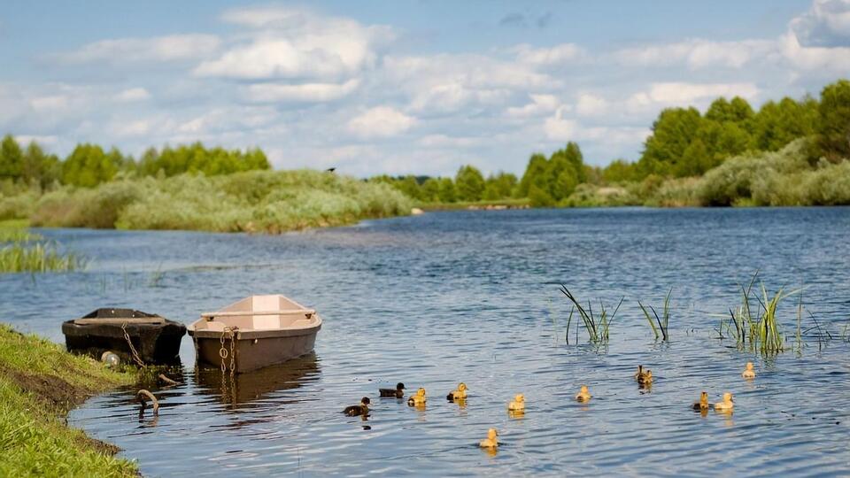 Сьогодні в більшості областей України прогнозують +28...+33 °C