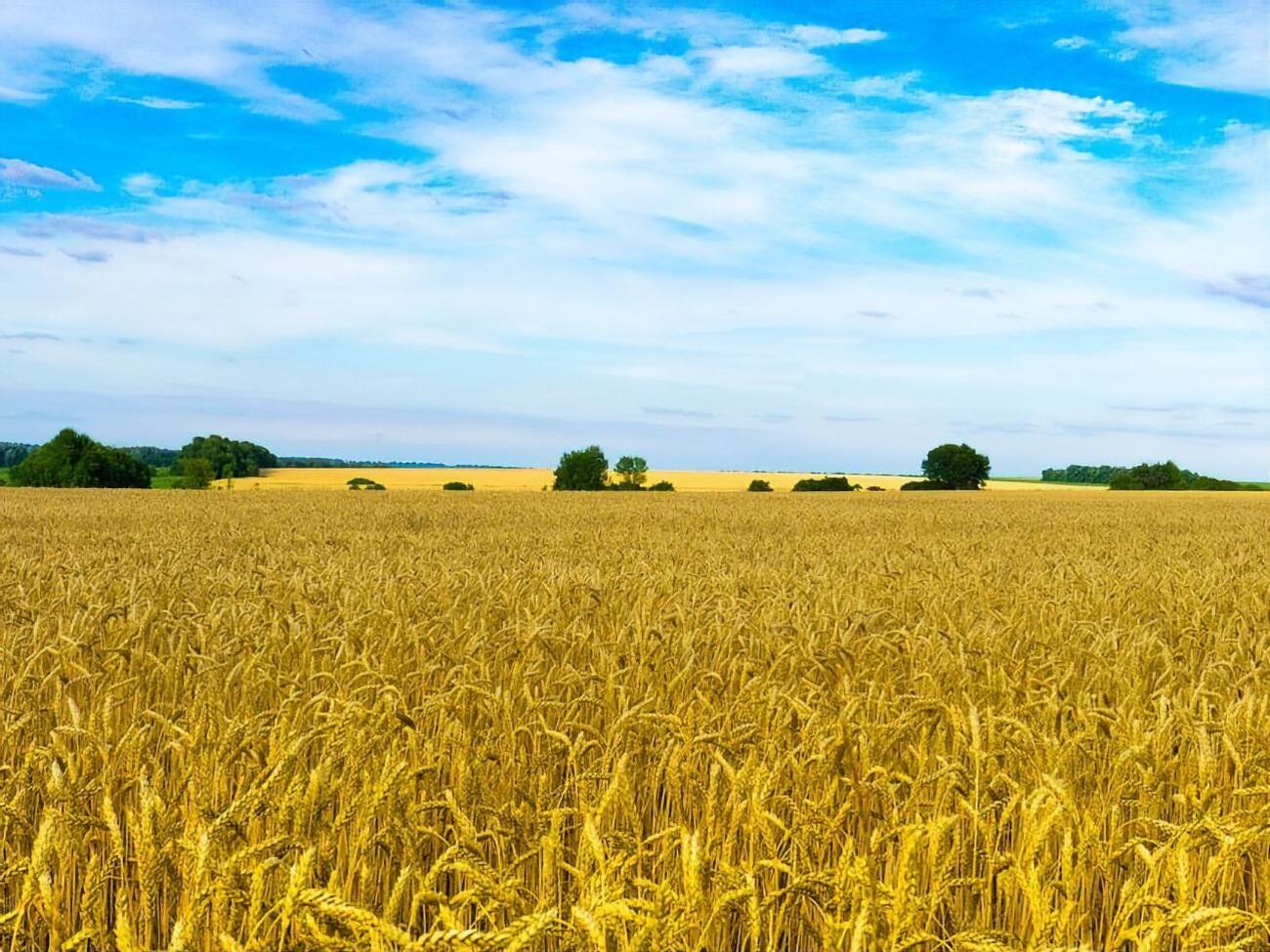 21 июня дожди пройдут только в западных областях Украины, сообщила синоптик
