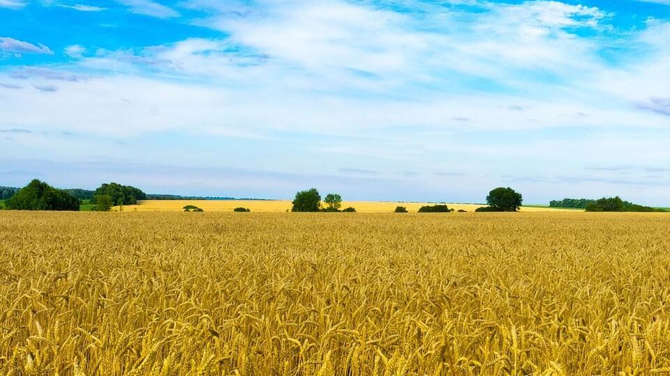 21 червня дощі пройдуть лише в західних областях України, повідомила синоптикиня