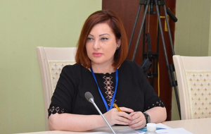 Ольга Варченко: Досудебное расследование продолжается