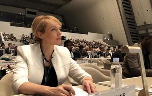 По словам Гриневич, подобные инциденты свидетельствуют о возможном реванше пророссийских сил