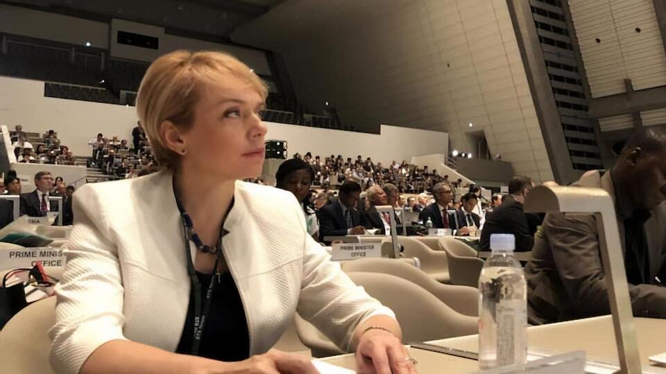 По словам Гриневич, подобные инциденты свидетельствуют о возможном реванше пророссийских сил