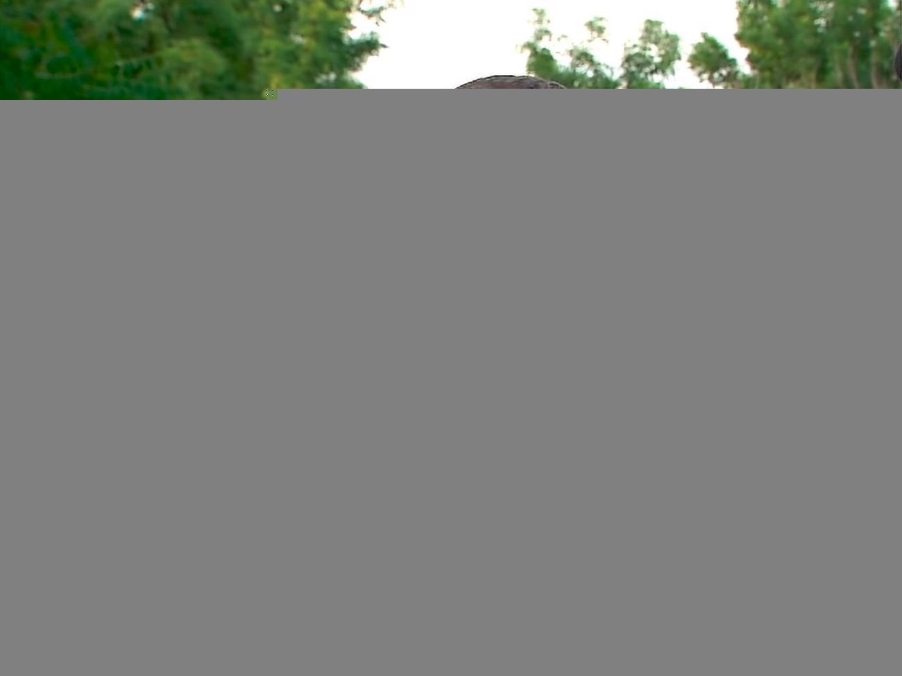 Шефир о словах Богдана: Нет, это неправда