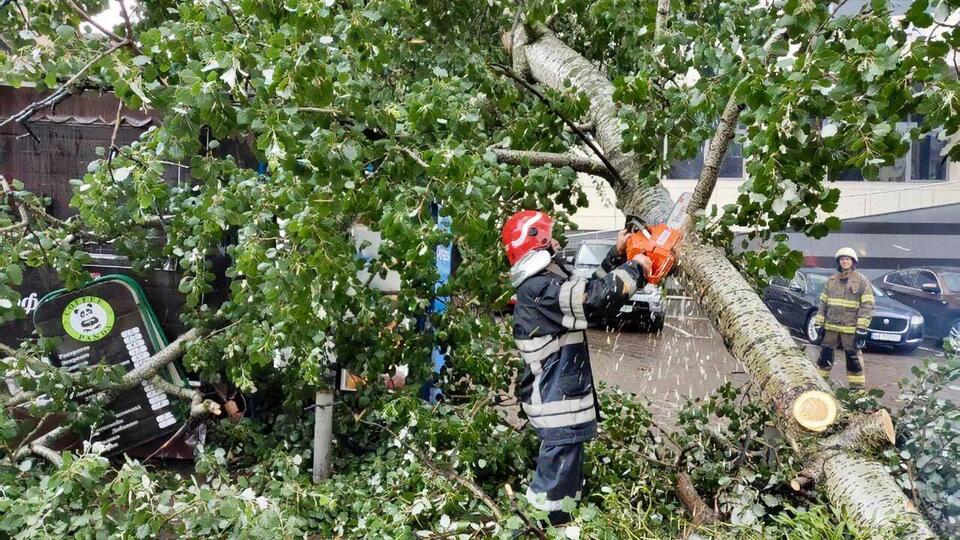 Вітер і дощ повалили в Києві 113 дерев