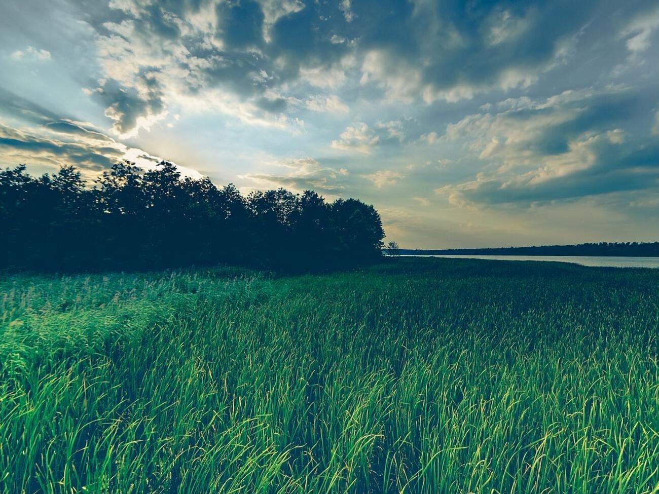 Синоптик: Сильных ливней не будет на выходных