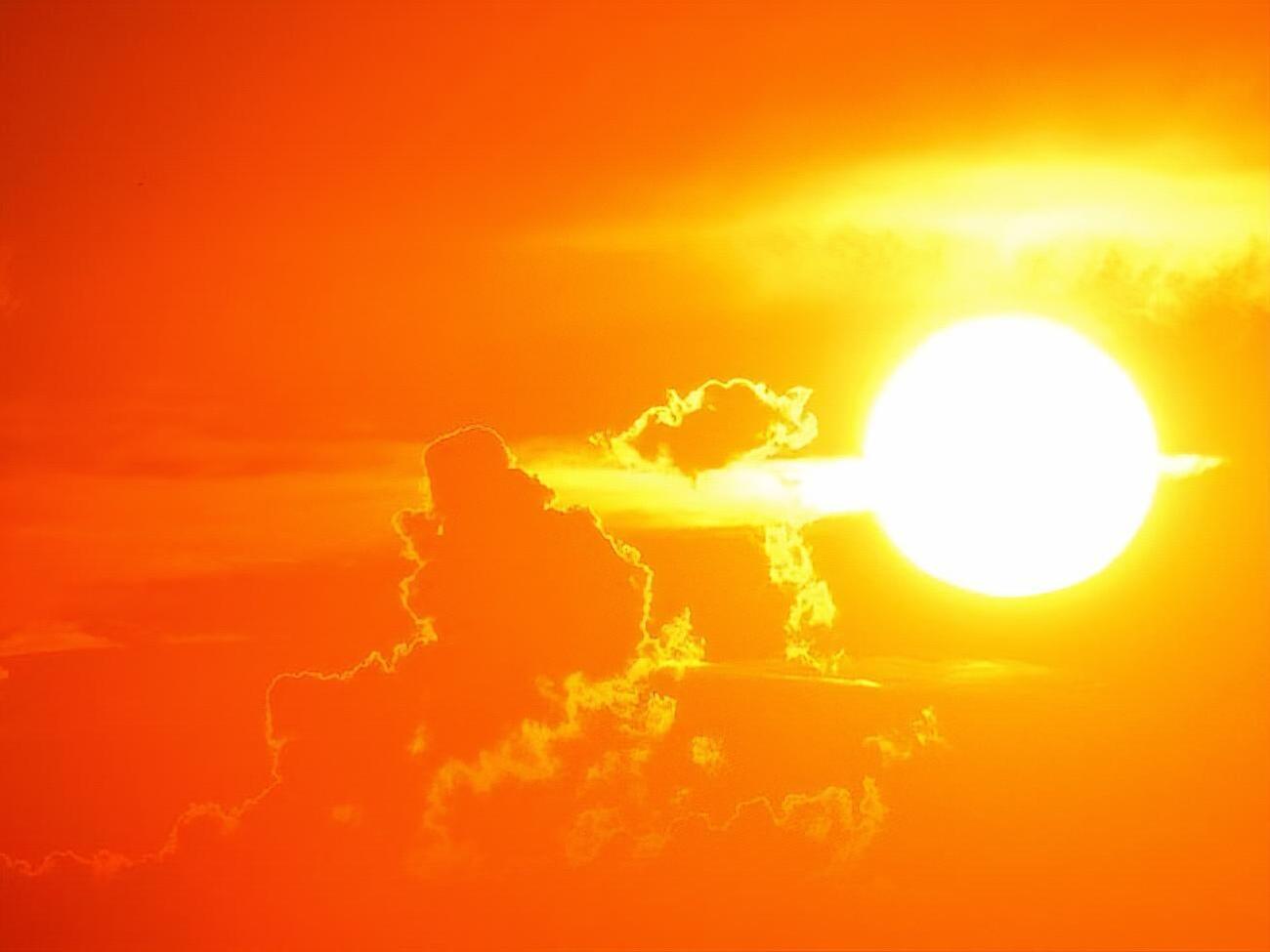 В связи с аномальной жарой метеорологическая служба объявила красный уровень опасности в четырех департаментах Франции