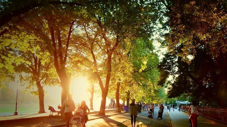 1 июля в Украине ожидается более +30 °C