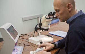 НБУ і далі вивчатиме можливість упровадити е-гривню