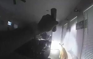Олень продолжал громить дом после приезда полиции