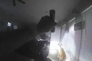 Олень продолжал громить дом после приезда полиции