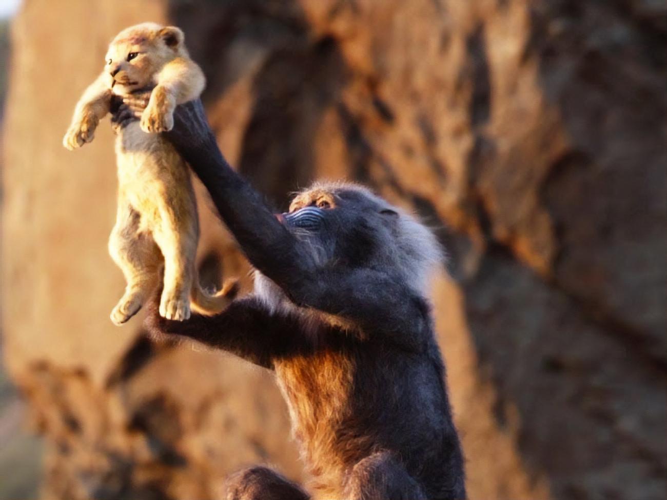 Світову прем'єру заплановано на 19 липня 2019 року