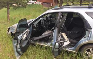 Медведь сумел выбраться из салона автомобиля после ДТП