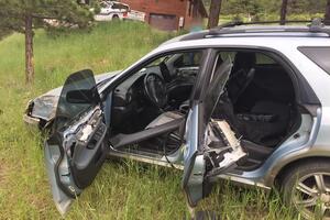 Ведмідь зміг вибратися із салону автомобіля після ДТП