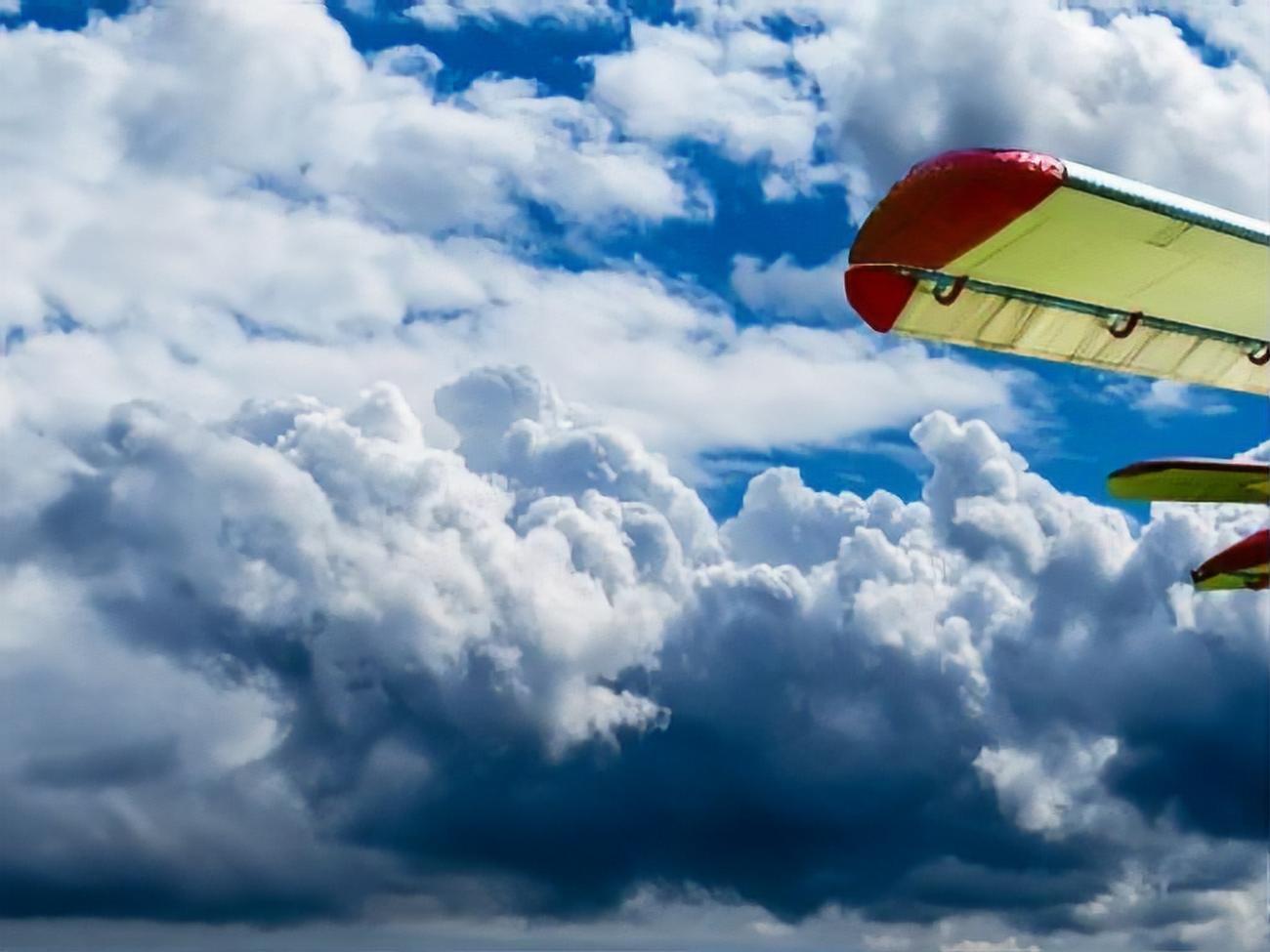 На борту літака перебували друзі