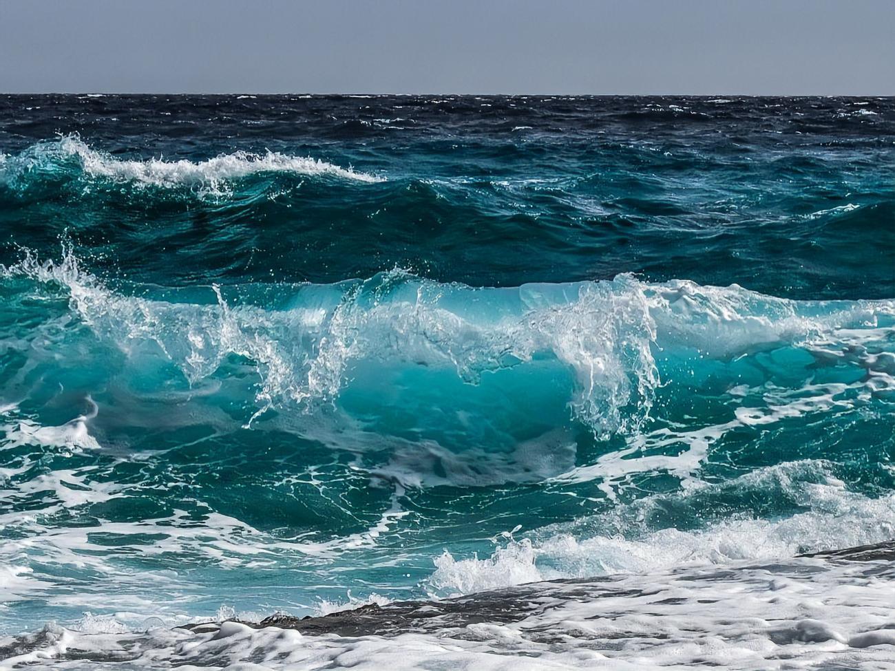 Хоменко отметил, что украинцы сталкиваются с проблемами на отдыхе из-за несоблюдения общих правил поведения