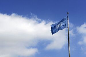 Проект Нидерландов по укреплению безопасности на Донбассе является частью программы ООН