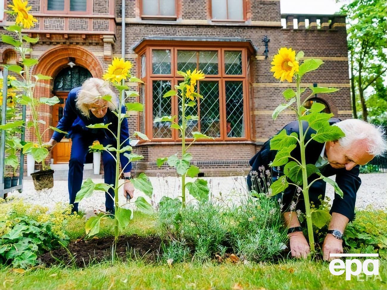 Священник и мэр высадили украинские подсолнухи к пятой годовщине катастрофы