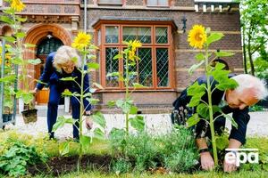 Священник и мэр высадили украинские подсолнухи к пятой годовщине катастрофы