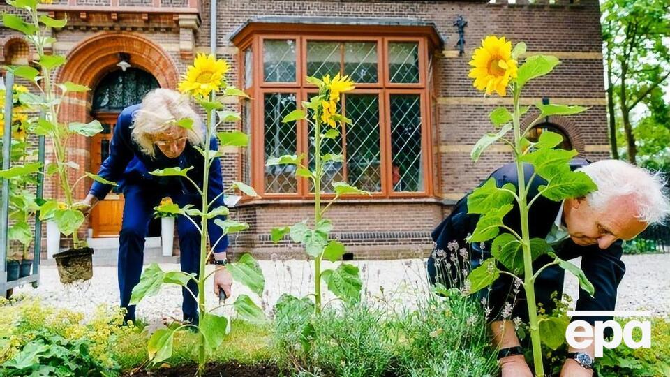 Священник и мэр высадили украинские подсолнухи к пятой годовщине катастрофы