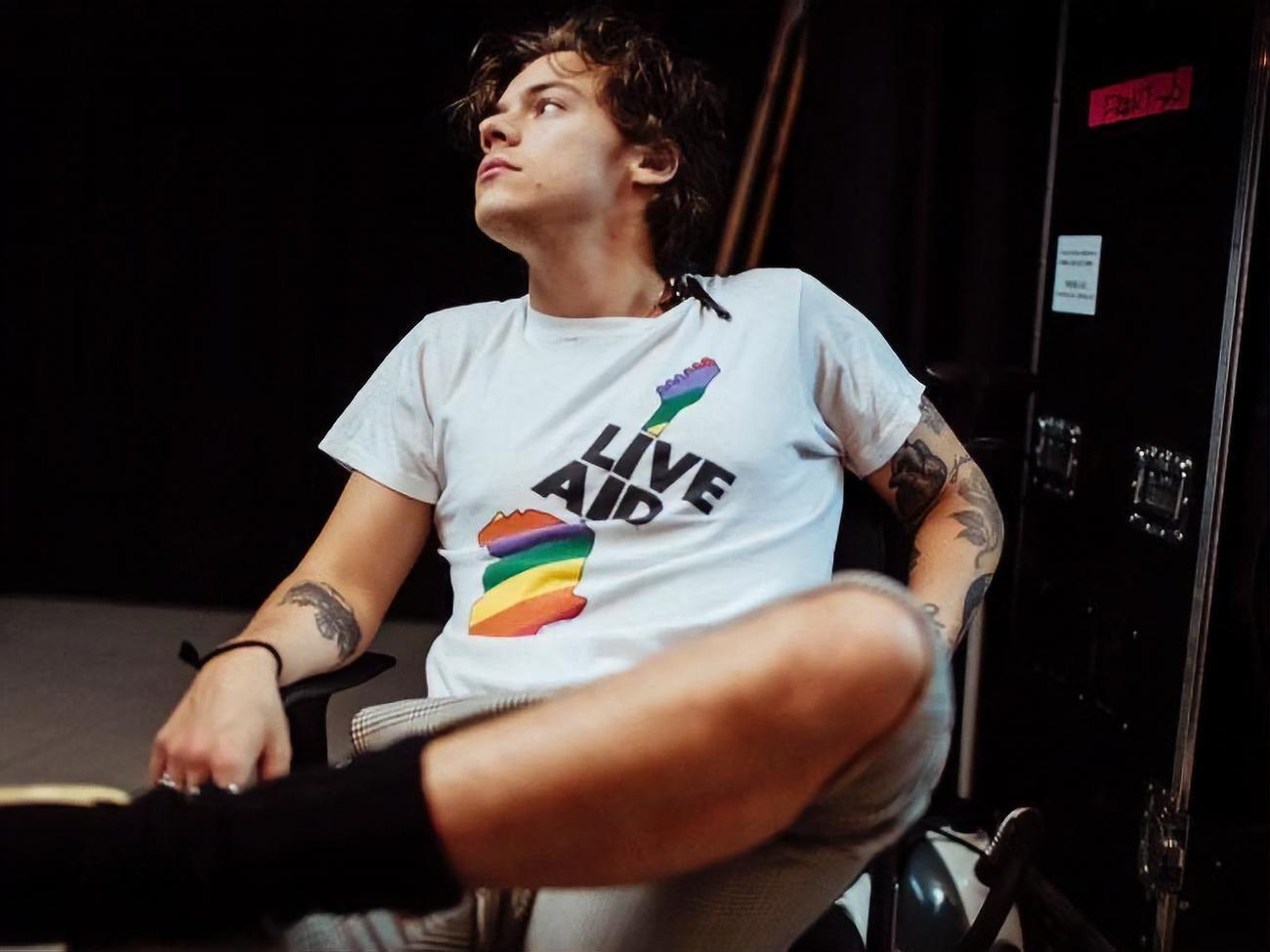 Стайлс веде переговори про зйомки &ndash; ЗМІ