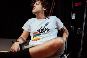 Стайлс веде переговори про зйомки – ЗМІ