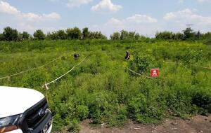 Спасатели обнаружили взрывоопасный предмет в 150 метрах от контрольного пункта въезда-выезда "Майорское"